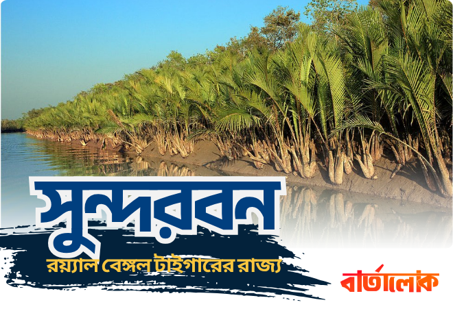 সুন্দরবন – রয়্যাল বেঙ্গল টাইগারের রাজ্য ও প্রকৃতির বিস্ময়