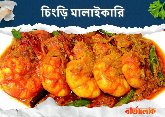চিংড়ি মালাইকারি রেসিপি – নারকেল দুধে তৈরি রাজকীয় স্বাদের বাঙালি পদ