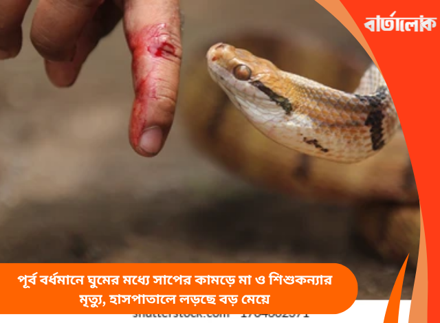 পূর্ব বর্ধমানে ঘুমের মধ্যে সাপের কামড়ে মা ও শিশুকন্যার মৃত্যু, হাসপাতালে লড়ছে বড় মেয়ে