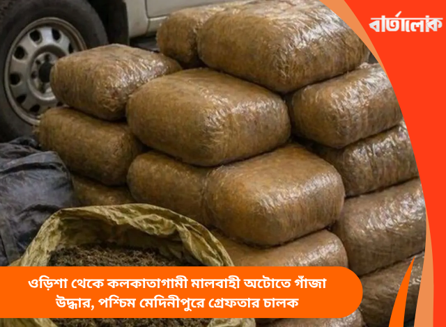ওড়িশা থেকে কলকাতাগামী মালবাহী অটোতে গাঁজা উদ্ধার, পশ্চিম মেদিনীপুরে গ্রেফতার চালক